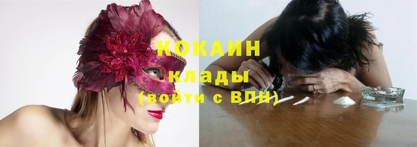 стаф Баксан