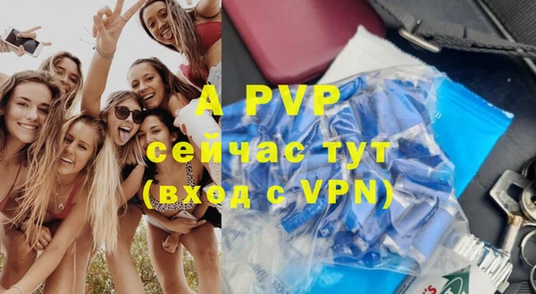 стаф Баксан