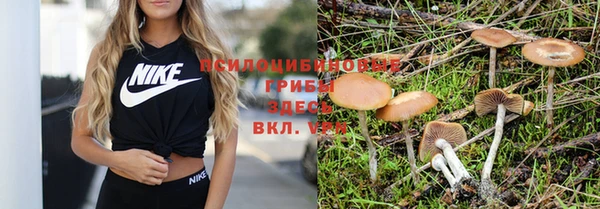 mdpv Белокуриха