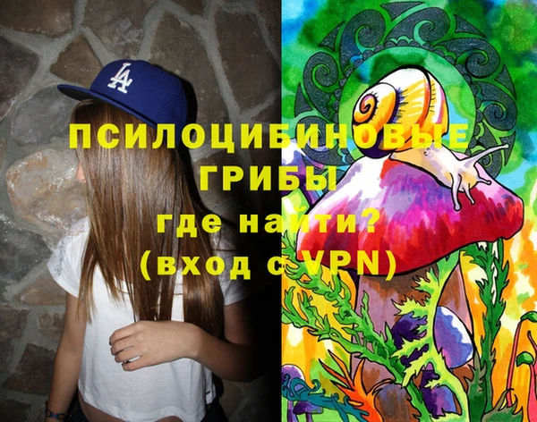 стаф Баксан