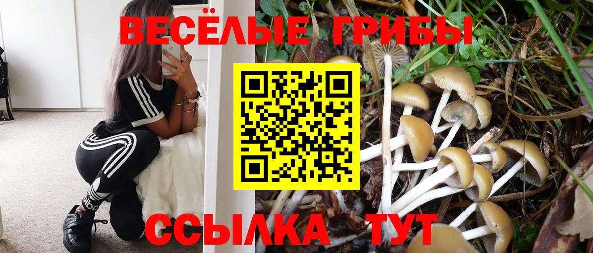 Псилоцибиновые грибы мухоморы  Вход с VPN  купить наркотики цена  Калуга 