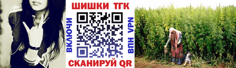 KRAKEN ONION  где можно купить   Калуга  Конопля ГИДРОПОН 