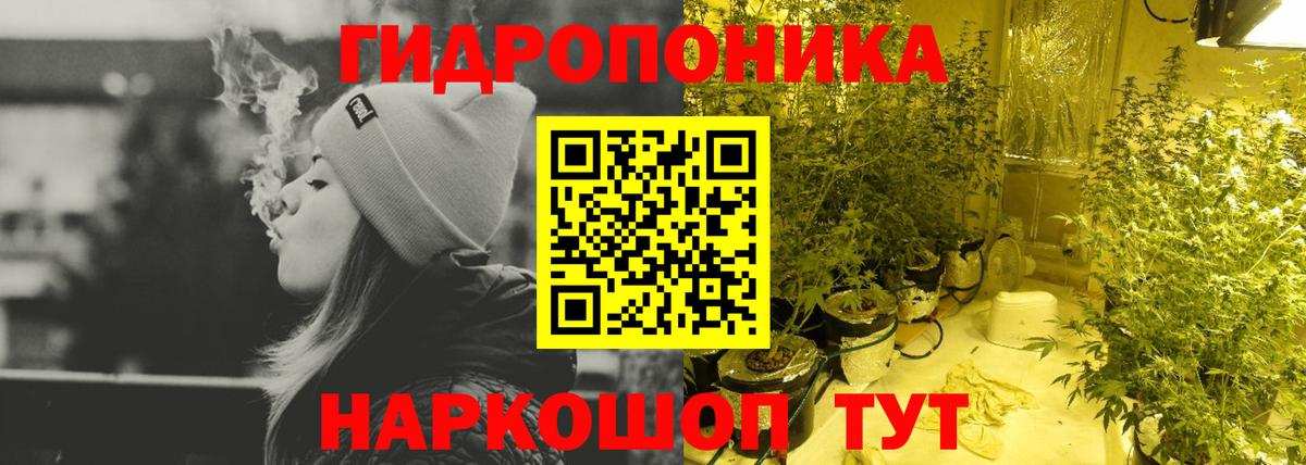 Канабис конопля Калуга